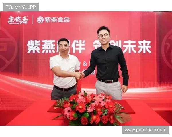 寶盈集團在亞洲市場的擴展計劃與合作夥伴關係的深度解析